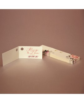 BIGLIETTINO DELICATE LOVE