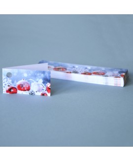 BIGLIETTINO CRISTALLI DI NEVE