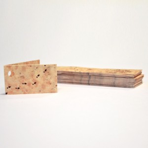 BIGLIETTINO MARAUDER'S MAP