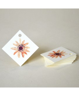 BIGLIETTINO ORANGE PLANTS