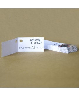 BIGLIETTINO STELLE DI NATALE